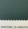 19-4906TPX