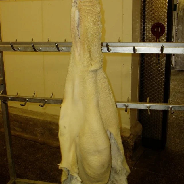 big size grade dry salted beef omasum / beef tripe beef omasum