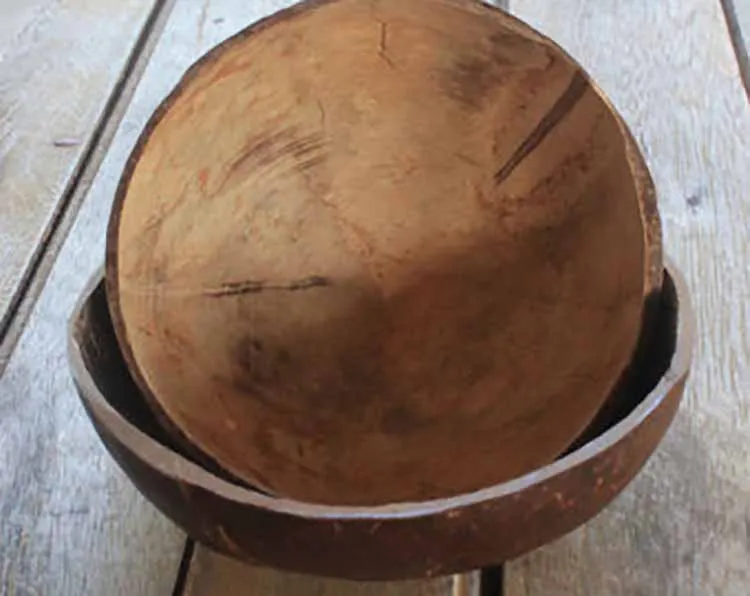 Wholesale Customized Round Tableware Set Thailand Coconut Shell Bowl for Baby and Kitchen Use for Ice Cream Serving