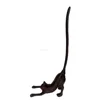 Cat Black