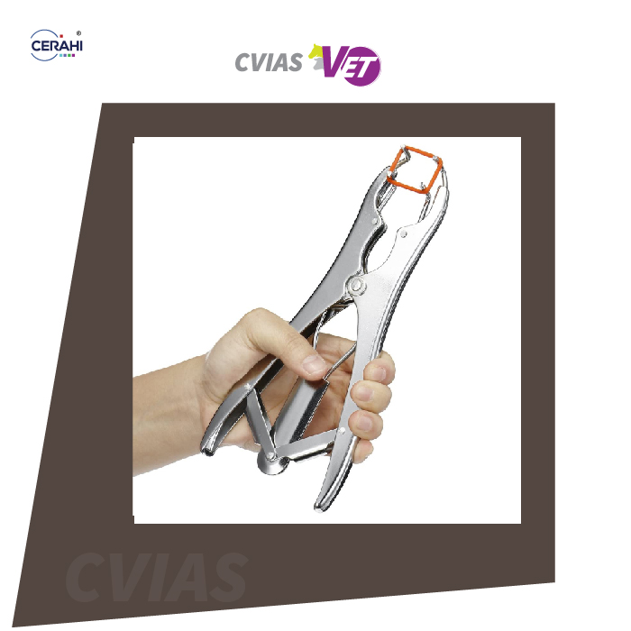 Top Quality Veterinary Elastic Castration Forceps Rubber Ring