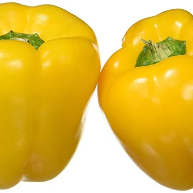 fresh capsicum (bell pepper)