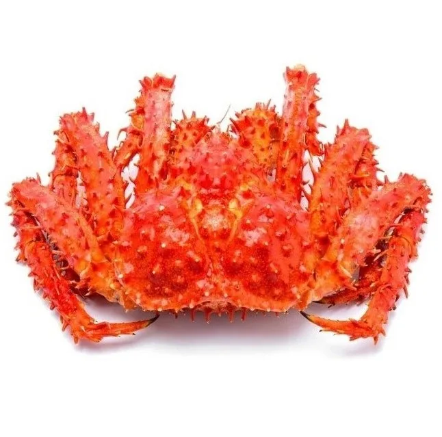 Crab9.jpg