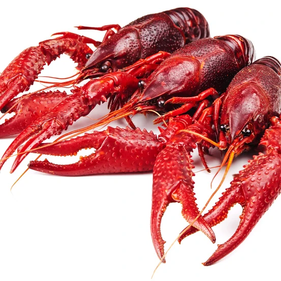 frozen whole round crayfish/crawfish in lobster for sale