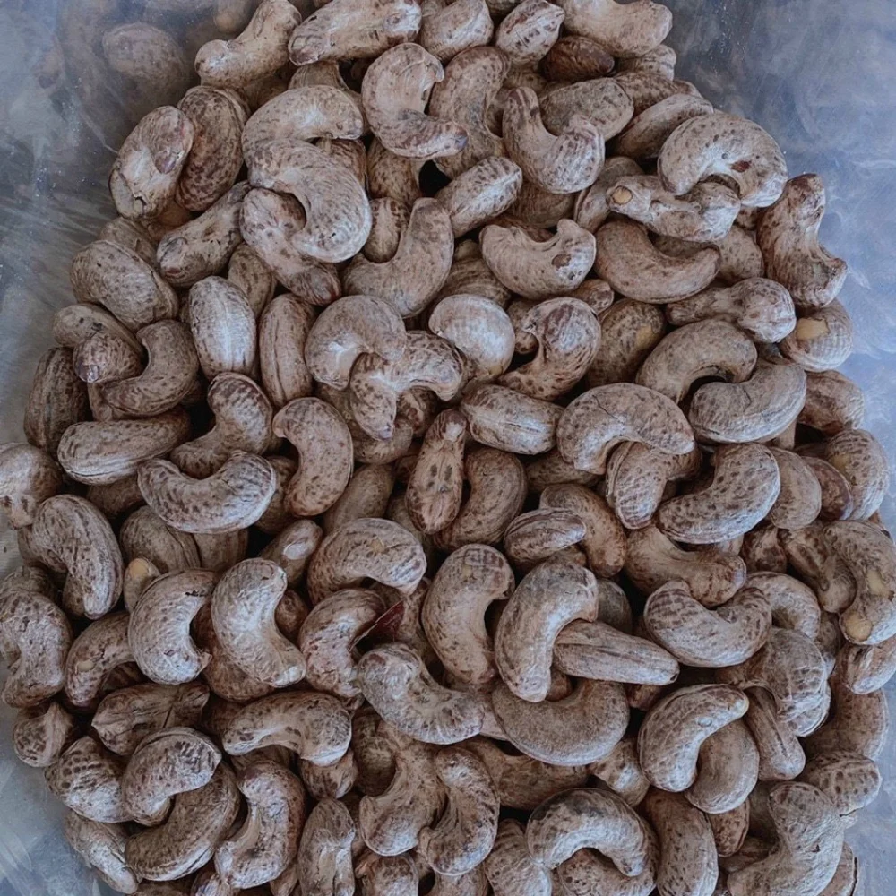 Cheap Price Roasted Cashew Nuts Premium White Cashew Viet Nam Brand ...