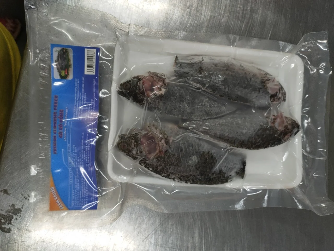 Frozen Tilapia Fish Fishfishfrozen Seafood Best Quality Frozen Wr