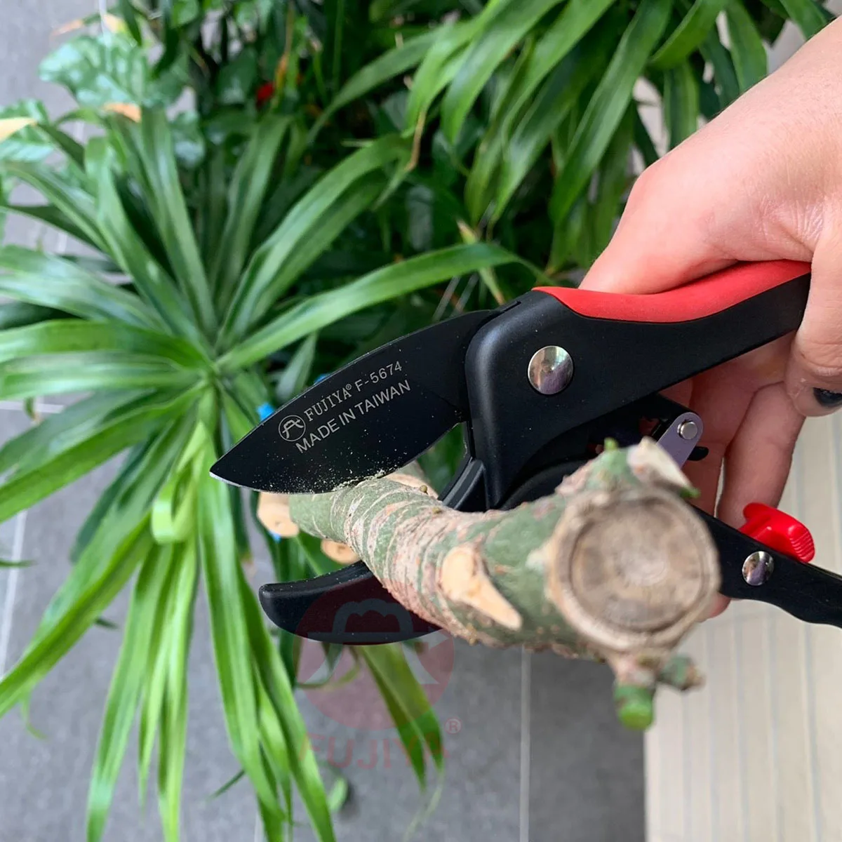 Compact Ratchet Pruner (works w/ smaller hands) – Better Garden Tools