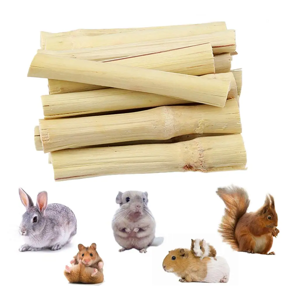 Bastoncini Di Mela Naturali Per Animali - Snack Per Porcellini D'India, Conigli, Cincillà E Scoiattoli - Foto 5