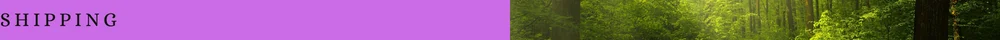 COMPANY INFORMATION (39).png