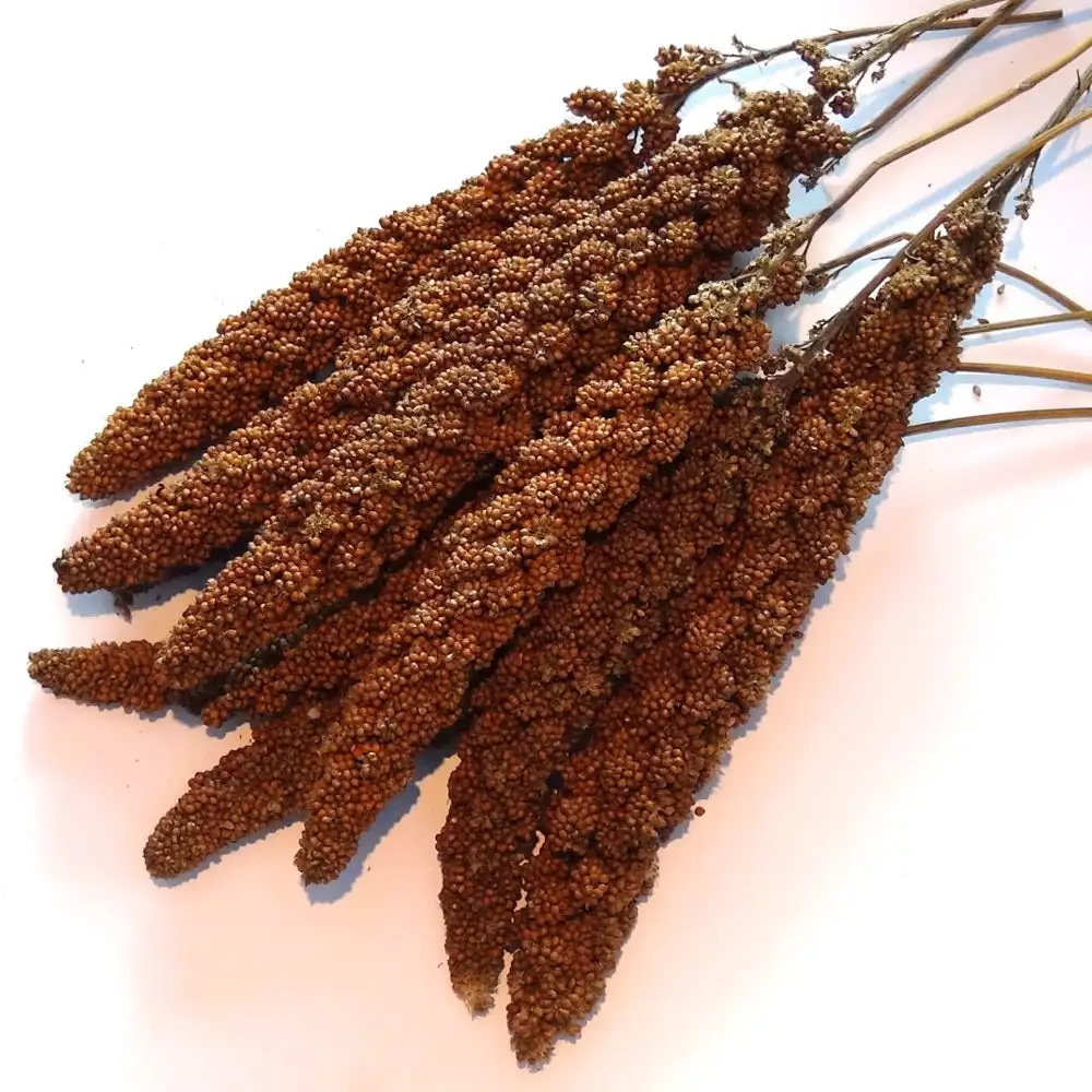 red millet sprays 15kg