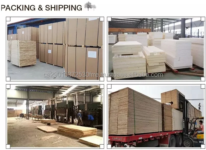 paking ship.jpg
