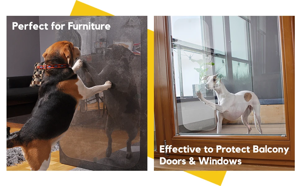 how do i protect my windows from dog scratches