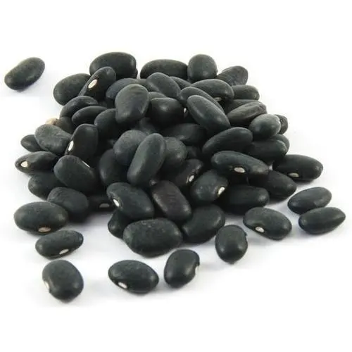 Black Kidney Bean Hps 500-550pcs/100g/black Turtle Bean Black Matpe Bean - Buy Types Of Kidney Beans,Black Kidney Beans,Black Kidney Beans Product on Alibaba.com