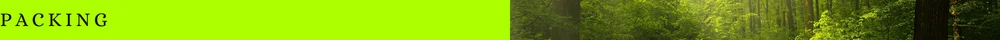 COMPANY INFORMATION (38).png