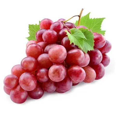 organic fresh grape seedless grapes/ fresh red crimson grape