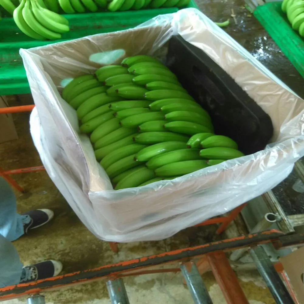 bananas..jpg