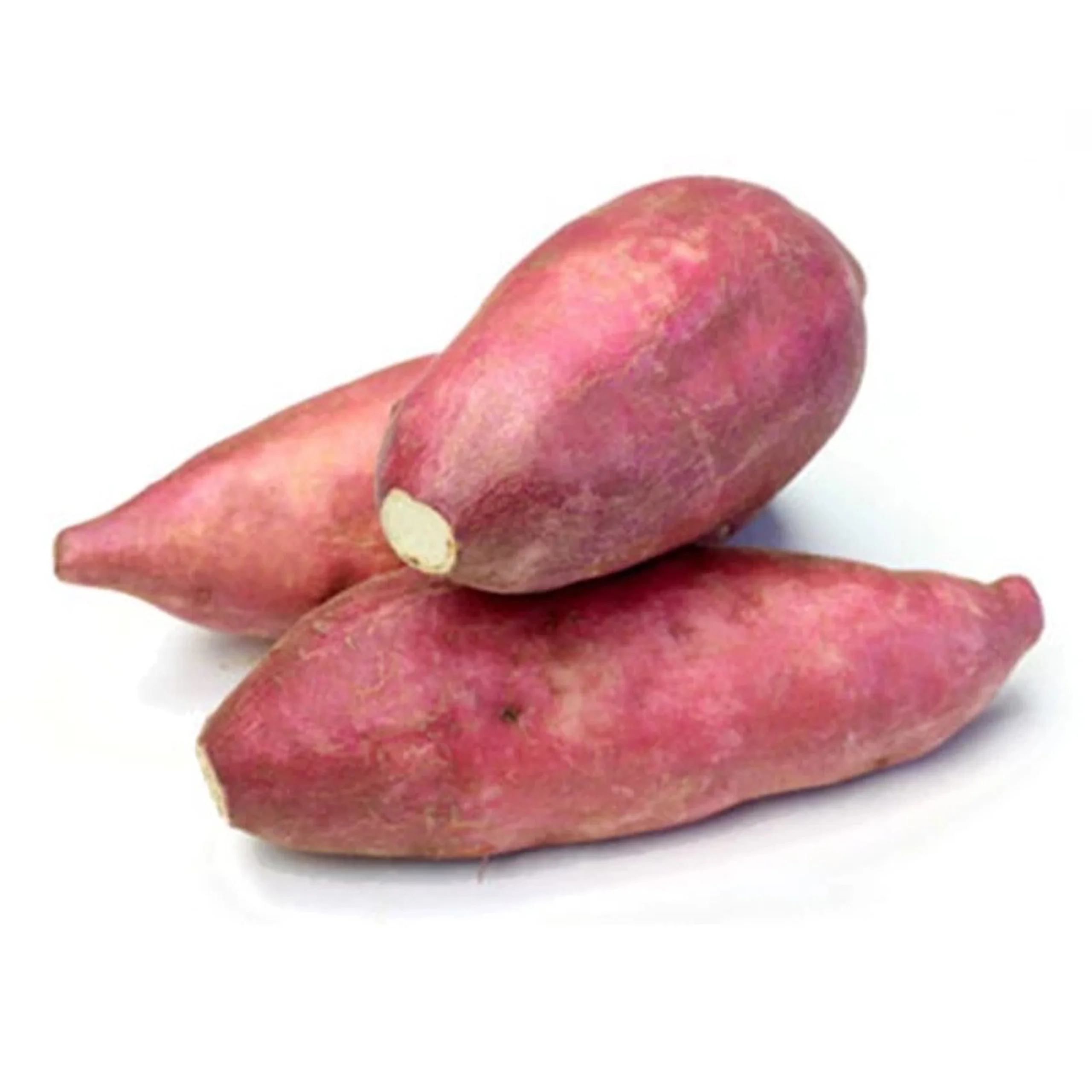 high quality fresh sweet potato vietnam exporting for bulk
