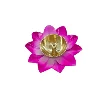 สีชมพู
