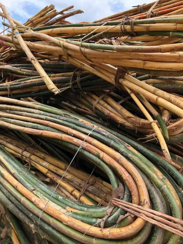 Vietnam Natural Malacca Rattan Canes / Rattan Poles Raw Material For