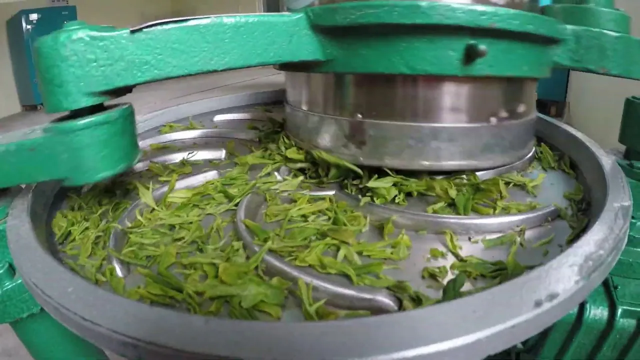 скручивание или формование (rolling/shaping). Rolling, tossing, or crushing the tea leaves. Twisting process tea. гранулятор для чайного листа dl-6cjr-100 цена. Tea rolling machine.