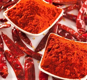 Indian Spices  Red Chilly Powder  Indian Spices Powder Packets Red Paprika Powder!