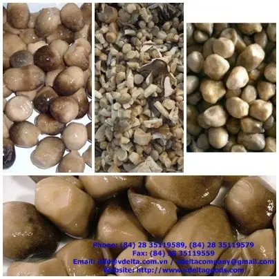 Соленые соломинки грибы-продажи-Vivian Ha + 84 33 88 20 462