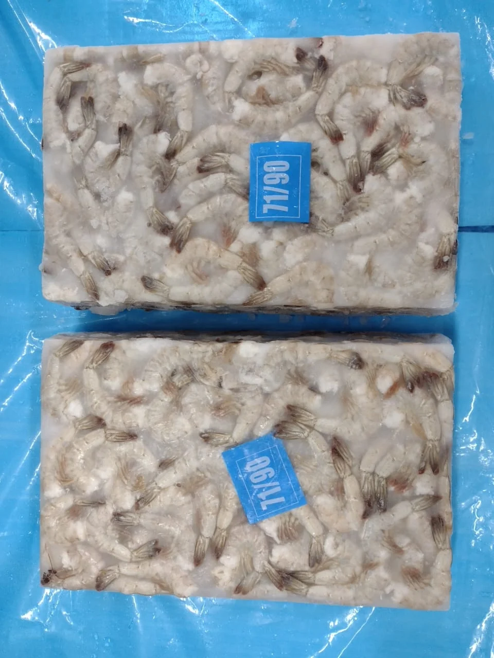 HIGH QUALITY FROZEN VANNAMEI HLSO BLOCK FROM INDIA