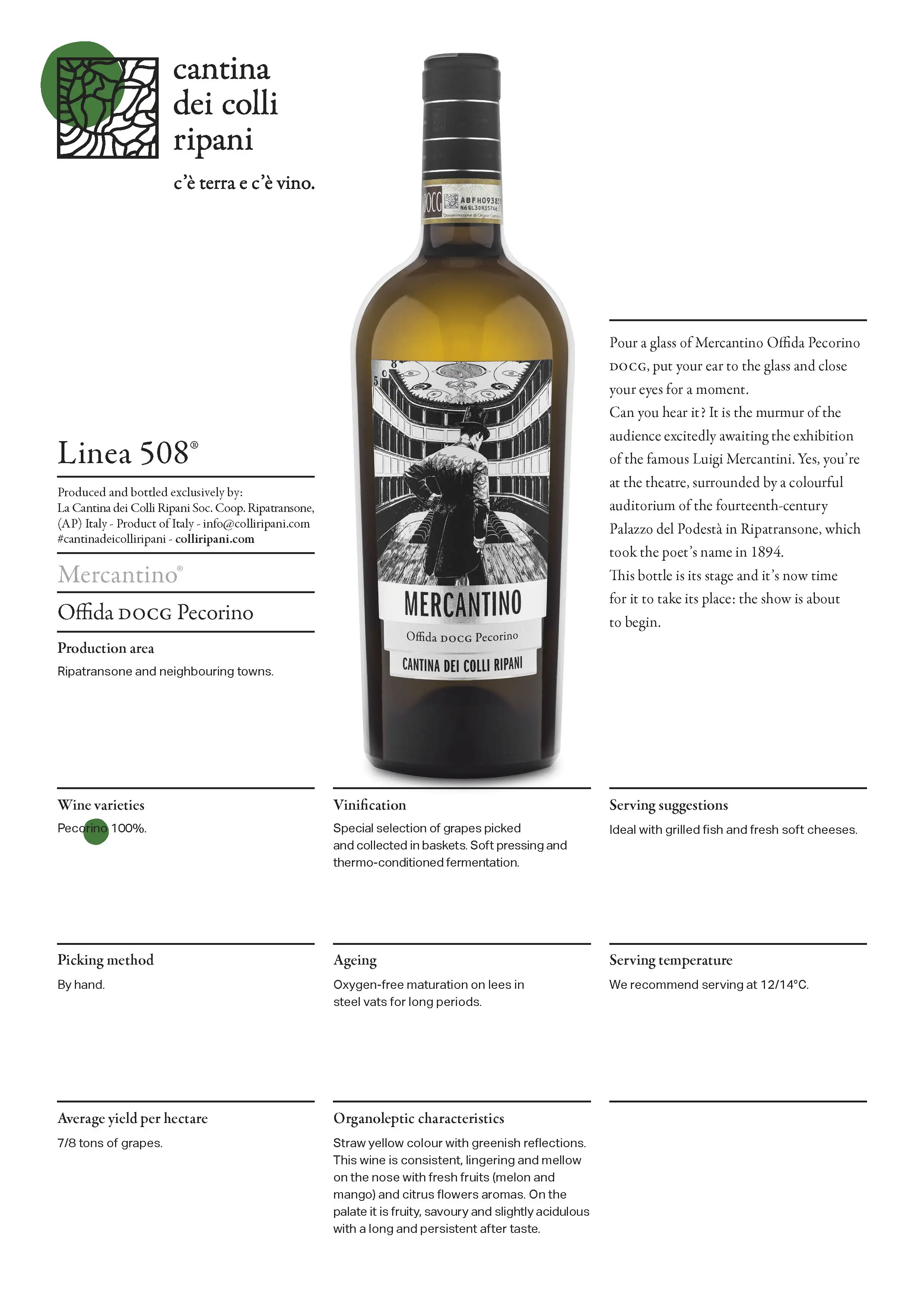 Italian Top Quality White Wine Pecorino Mercantino Offida Docg Pecorino