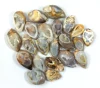 Multi Color Sold by Weight(grams), 50to55pcs per Kg -shell druzy