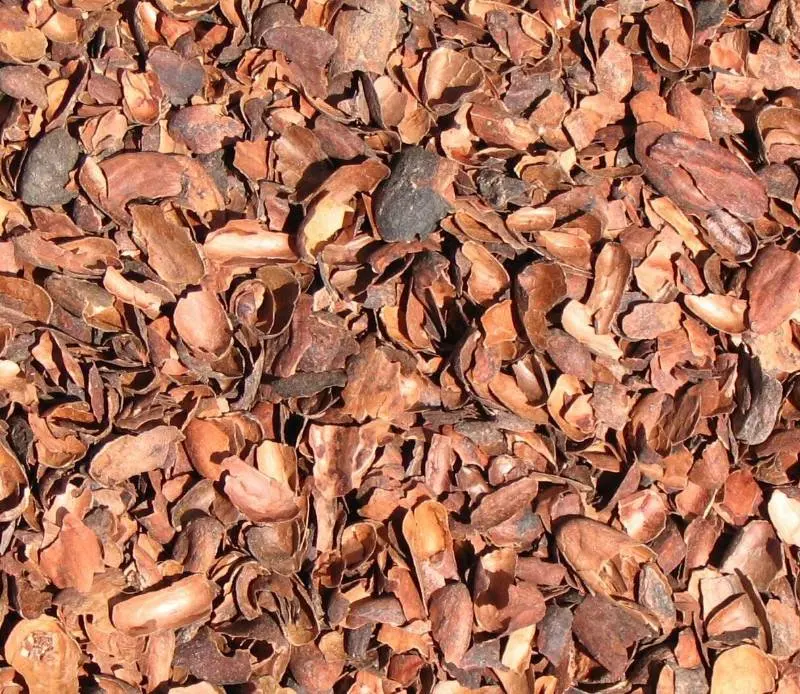 Оптовая продажа скорлупы необработанных какао бобов-какао капсулы урожая в Highland Area Vietnam