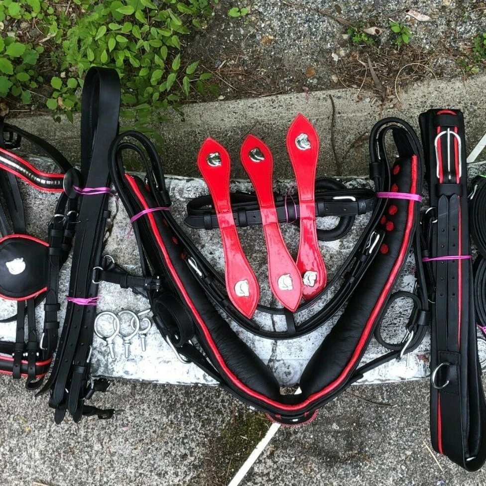 Ремень для вождения лошадей