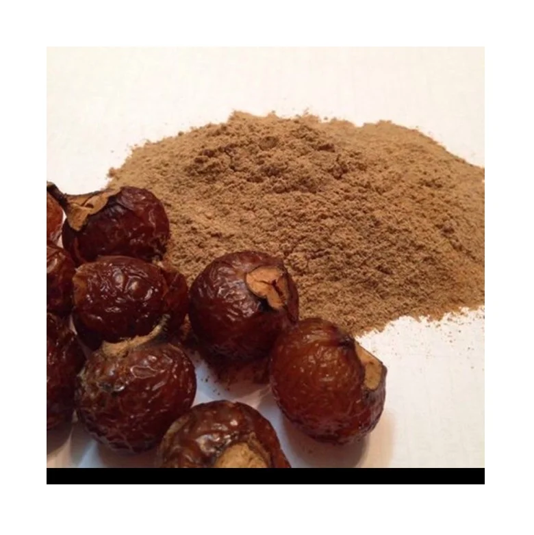 SOAP NUT POWDER BEST PRICE in BULK ORGANIC SOAP NUT EXTRACT POWDER for NATURAL DETERGENT BEST PRICE//MS.RACHEL +84896436456