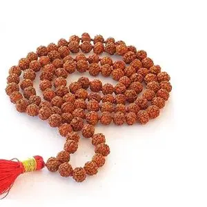 Mukhi Rudraksha Japa Mala 