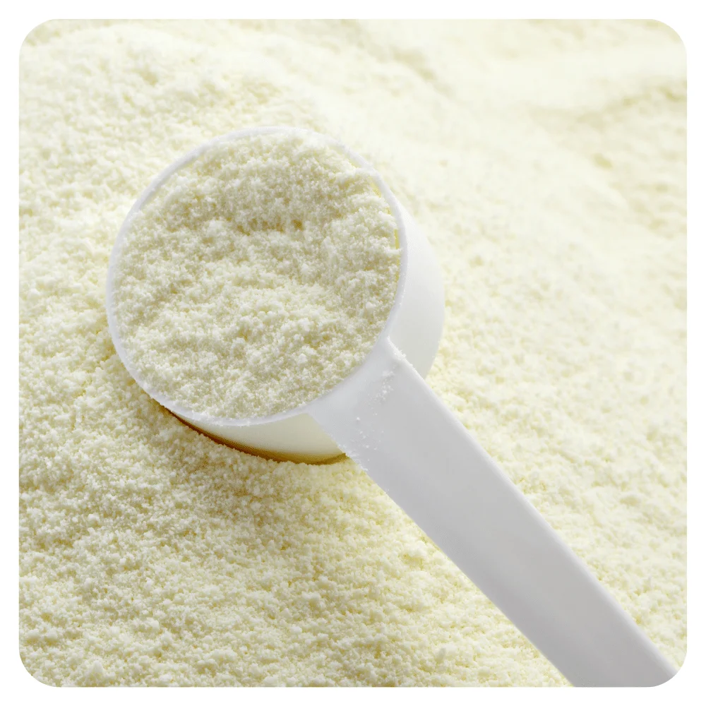 whole dry milks skimmed skim powder full cream milk non-fat milk