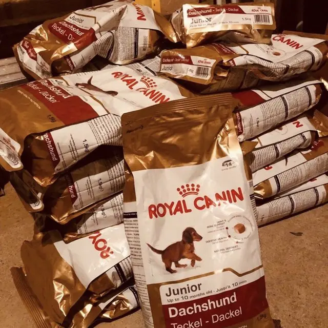 Royal Canin Maxi Adult Available - Buy Canin Pet Food Pet Aquarium Cat Food Plushies,Organic Pet Food Royal Canin Bird Dog Brush Dog Supplements,Natural Pet Food Hamster Cages Fish