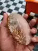 custom