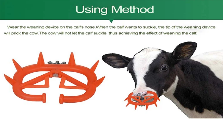 Details about   Milk Sucking Preventer Livestock Farming Veterinary Cow Sheep Steel Calf Weaner 