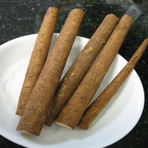 Fresh Burdock root.jpg