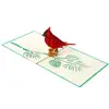Personalizado