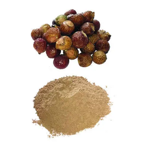 SOAP NUT POWDER BEST PRICE in BULK ORGANIC SOAP NUT EXTRACT POWDER for NATURAL DETERGENT BEST PRICE//MS.RACHEL +84896436456