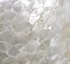 White mother of pearl