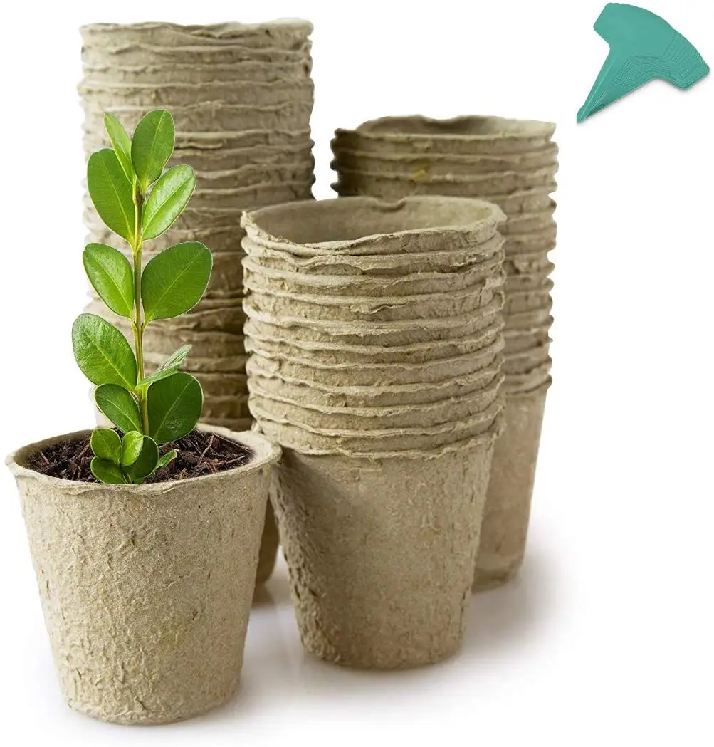 65*60mm, Gray IVYSHION 10 Pack Seedling Pots Biodegradable Plant Pots Germination Trays Biodegradable Seed Trays Eco-Friendly Plant Fibre Pots with Plant Tags for Home Plant Starters Indoor & Outdoor