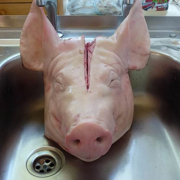 Pork-Meat..jpg