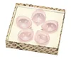 HO-2001N Hanahonoka Ensemble de 5 tasses à saké