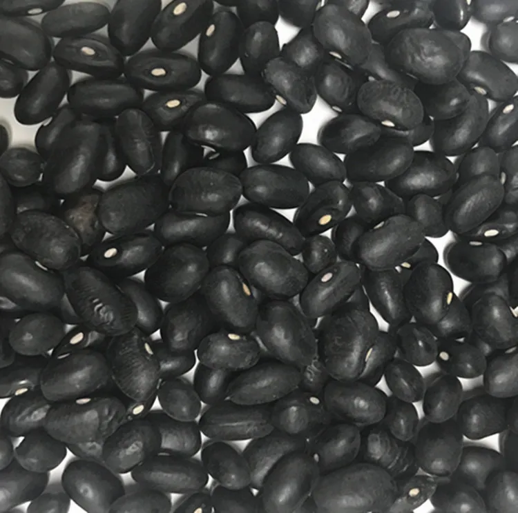 Black Kidney Beans.jpg