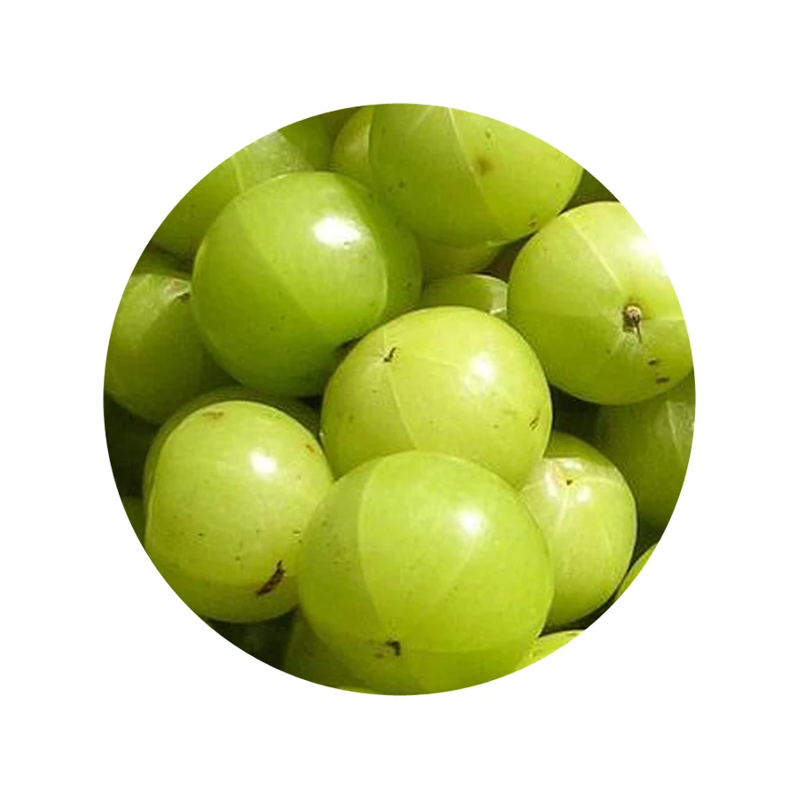 2023 Pure Amla Powder Low Price Indian Gooseberry Fruit for Hair Growth High Quality Organic OEM Manufacturer Best Choice