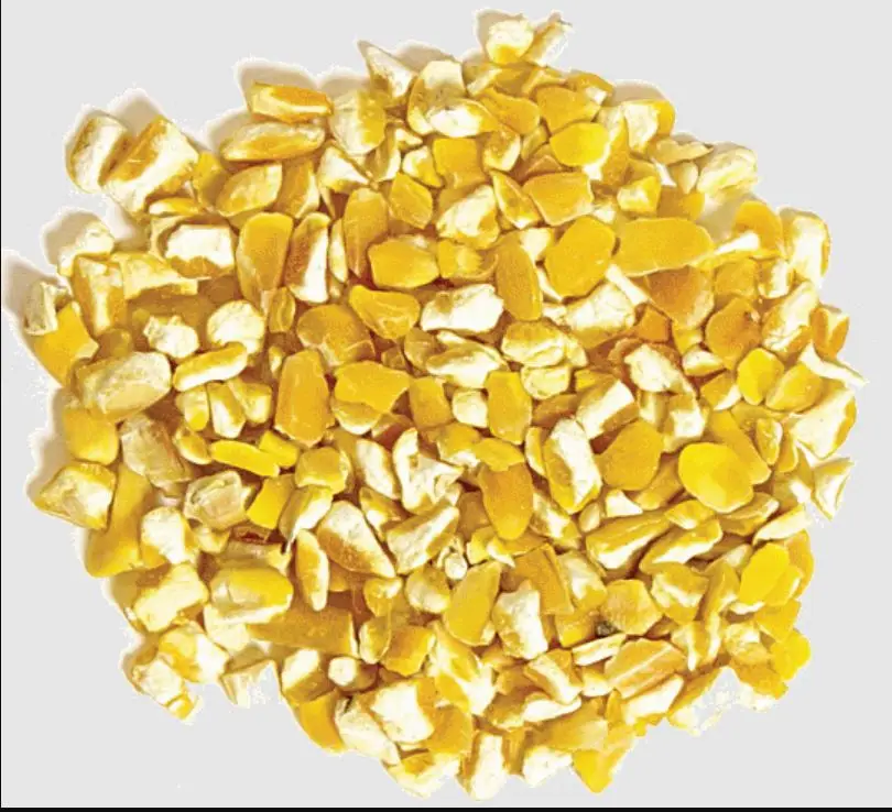 cracked yellow corn,maize for poultry and bird feeds.