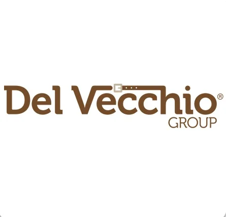 D.V. GROUP S.R.L.