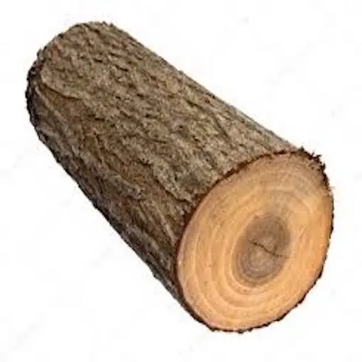 4 (3).jpeg