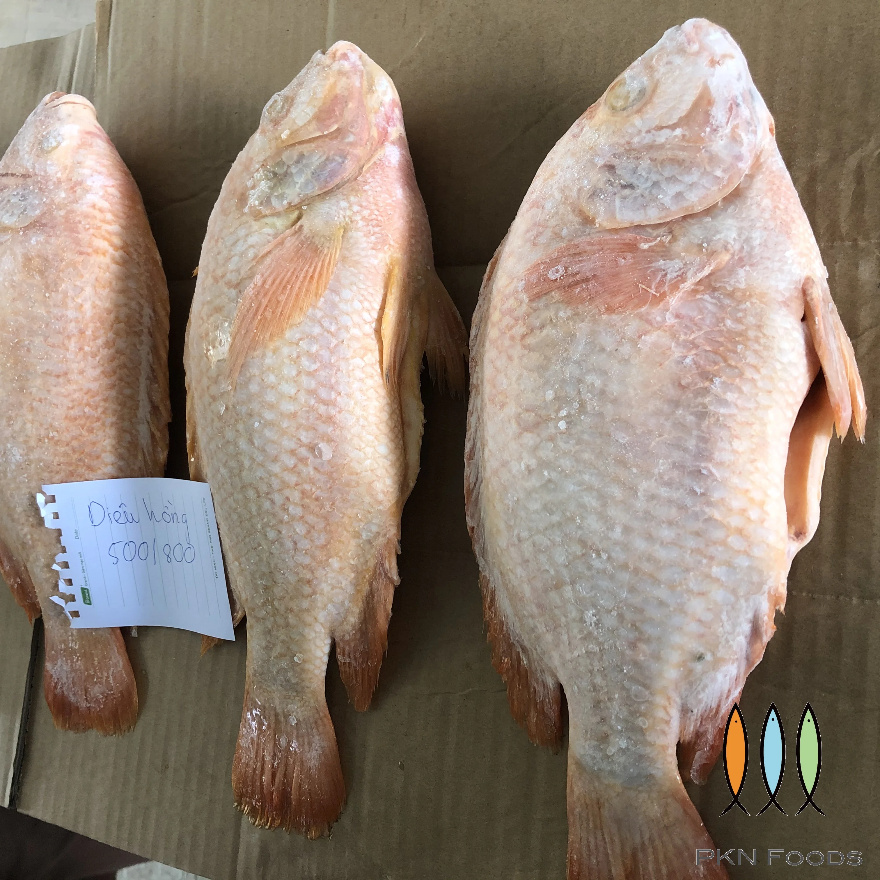 Seasonal Frozen Seafood Vietnamese Oreochromis Spp Red Tilapia Fish 2
